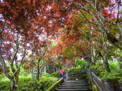 全球通旅行社 行程介紹