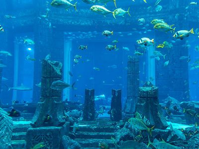 【暑假限定】夢幻雙國杜拜汶萊8日|亞特蘭提斯水族館X沙漠探險