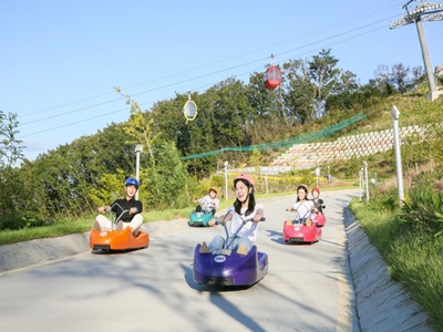 【安妞首爾好靚五日不進人蔘+土產】浪漫南怡島LUGE斜坡滑車漢江公園賞夜景星空圖書館