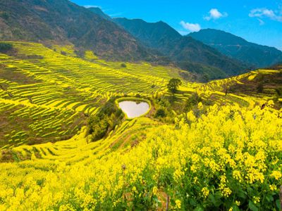 ¡iªá¶}¦¿¦èظ·½ªoµæªá®ü¡j¹Ú¤Û±æ¥P¨¦¥P¹Ò¸¯¥P§øºô¬õÆF¤s¤Ñ±è©¶°ª¥j«°¤å¤Æ¥æ¬y¦Ò¹î8¤é(°ê¯è)