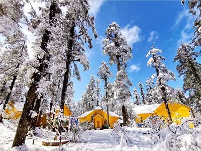 【冰雪九寨溝達古冰川】牟尼溝樂山大佛黃龍溪古鎮單程高鐵文化交流考察8日(川航)