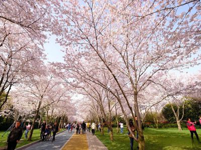 ¡iªá¼Ë¦¿«n¸g¨å¤T¥jÂí¡jÀä°|®É©|¥jÂíº©¨B¦è´ò¬P®ü§gÄi¨¬¯D¤å¤Æ¥æ¬y¦Ò¹î5¤é