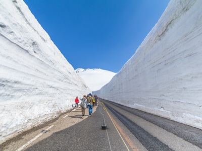 星宇航空【名古屋立山黑部雪牆~上高地秘境x合掌村採果趣5日】金澤兼六園熱田神宮國寶犬山城岡崎OUTLET